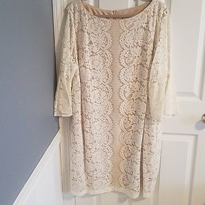 Plus size Lace dress